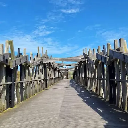 캠프장 D'mar 웬두이니