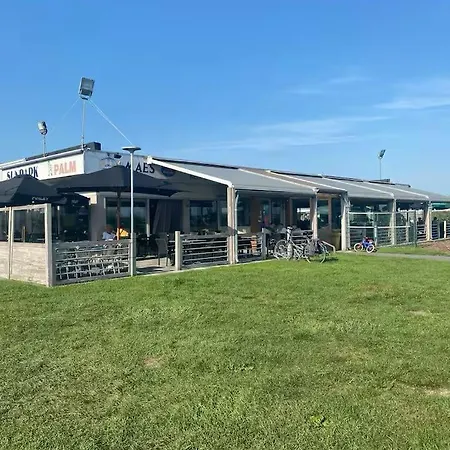 D'mar * 웬두이니