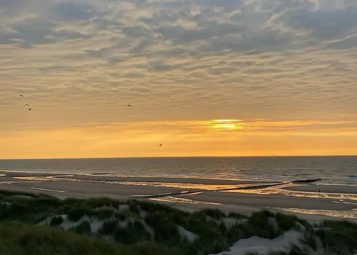 D'mar 캠프장 웬두이니