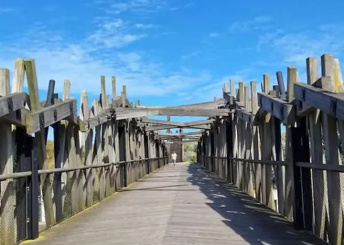 캠프장 D'mar 웬두이니