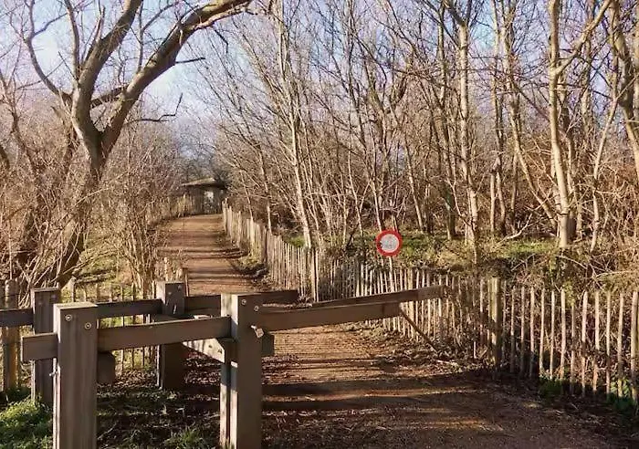 캠프장 D'mar 웬두이니